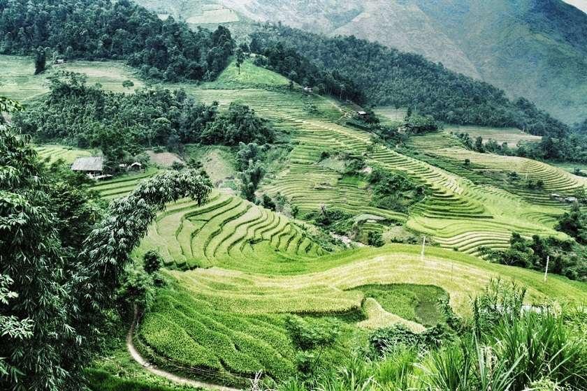 Hệ thống truy xuất nguồn gốc