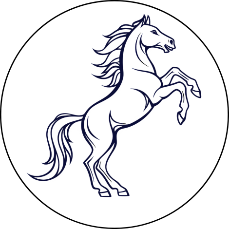 Chăn nuôi đại gia súc