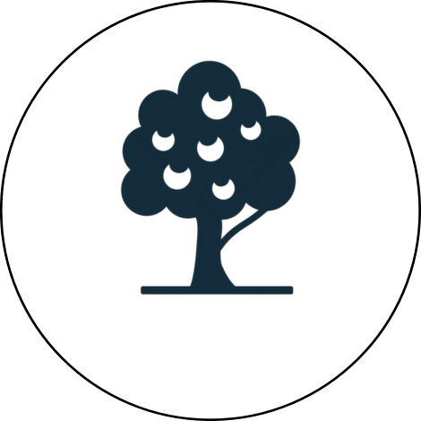 Cây ăn quả hàng hóa